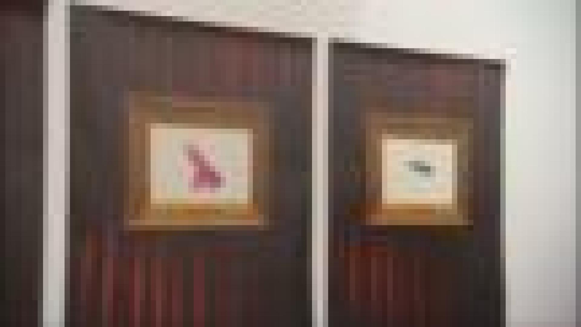 Jacques Charlier n'exposera pas à la Biennale de Venise